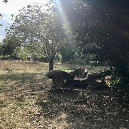 Maison Chaleureuse Et Calme Panazol Bagian luar foto
